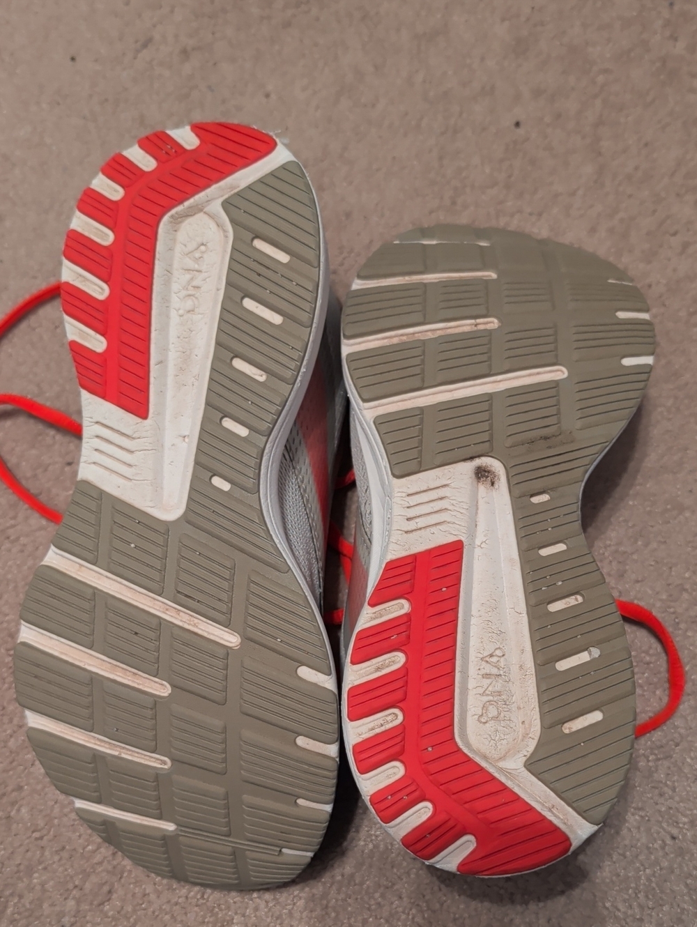 Brooks Range DNA - Picture 4 of 7